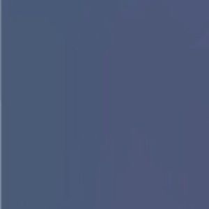 Meet your Posher, Cam